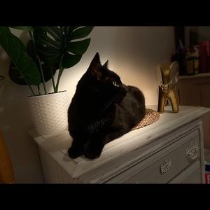 Meet your Posher, Liz